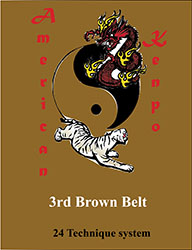 American Kenpo 3rd Brown Belt